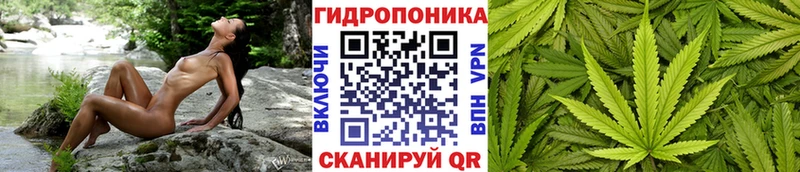 Цена Пласт А ПВП АМФЕТАМИН Галлюциногенные грибы ГАШ