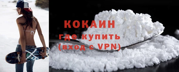 гашик Нея