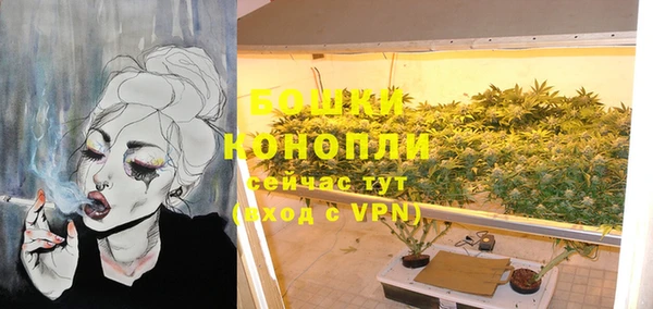 гашик Нея