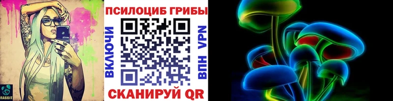 shop состав  МЕГА сайт  Пласт  Галлюциногенные грибы Psilocybine cubensis 